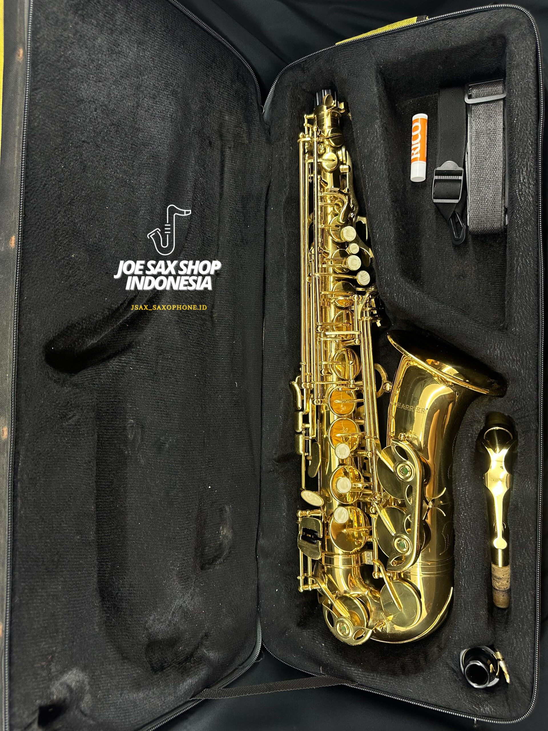 Alto Saxophone Harrier Gold