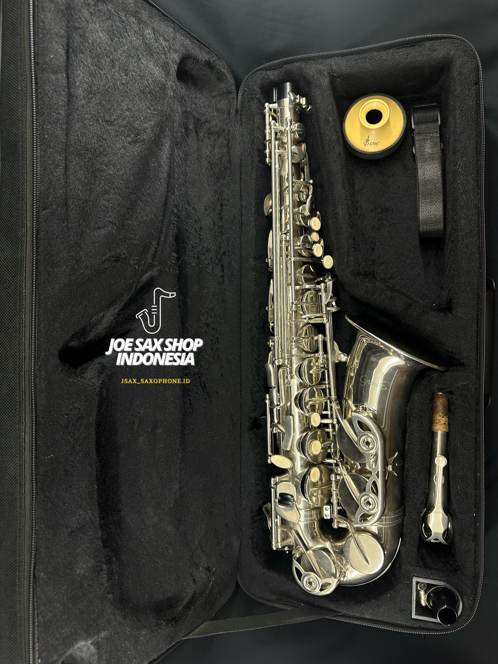 Alto Saxophone Grande Silver