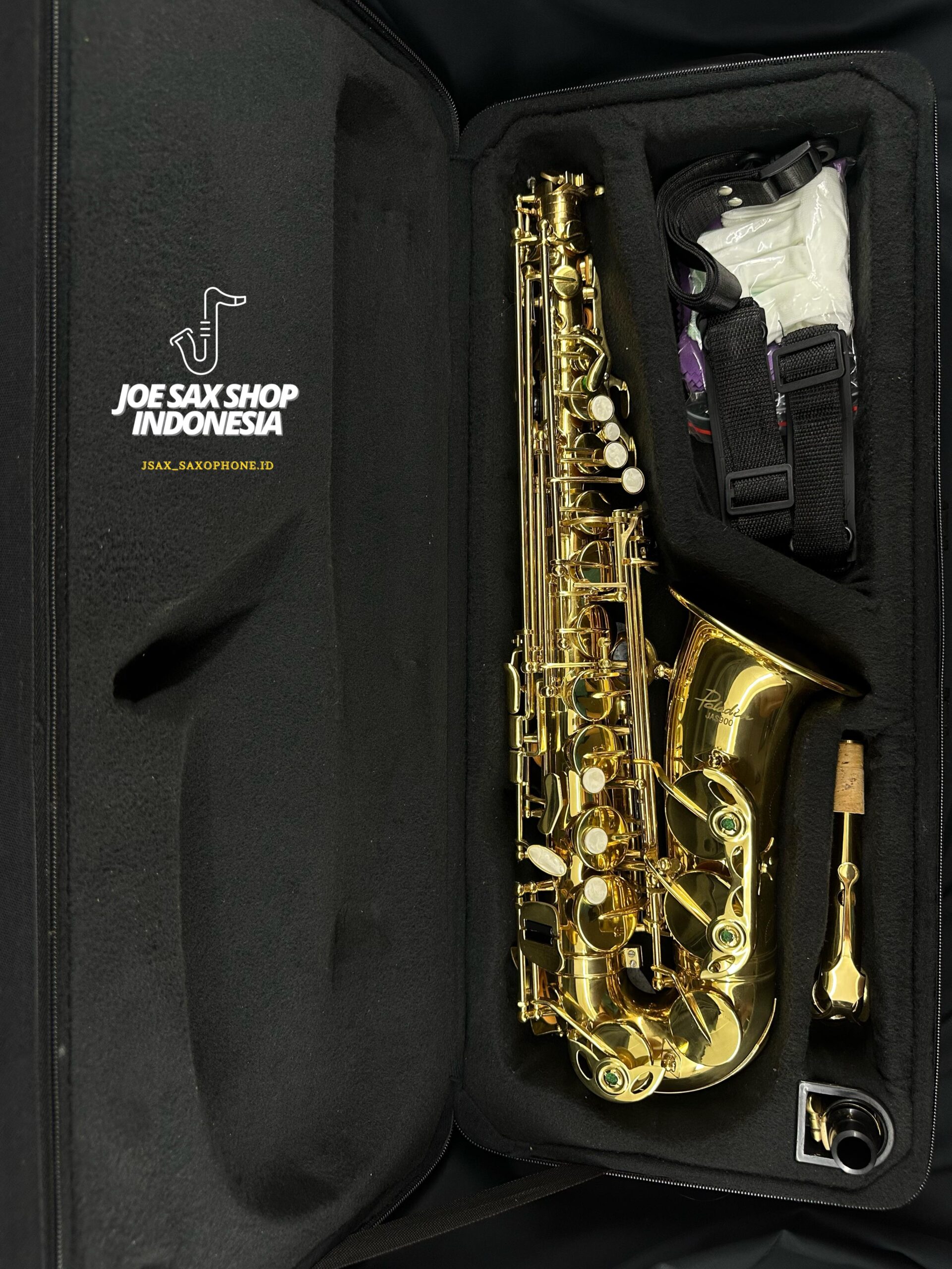 Alto Saxophone Paladin JAS-900 Gold