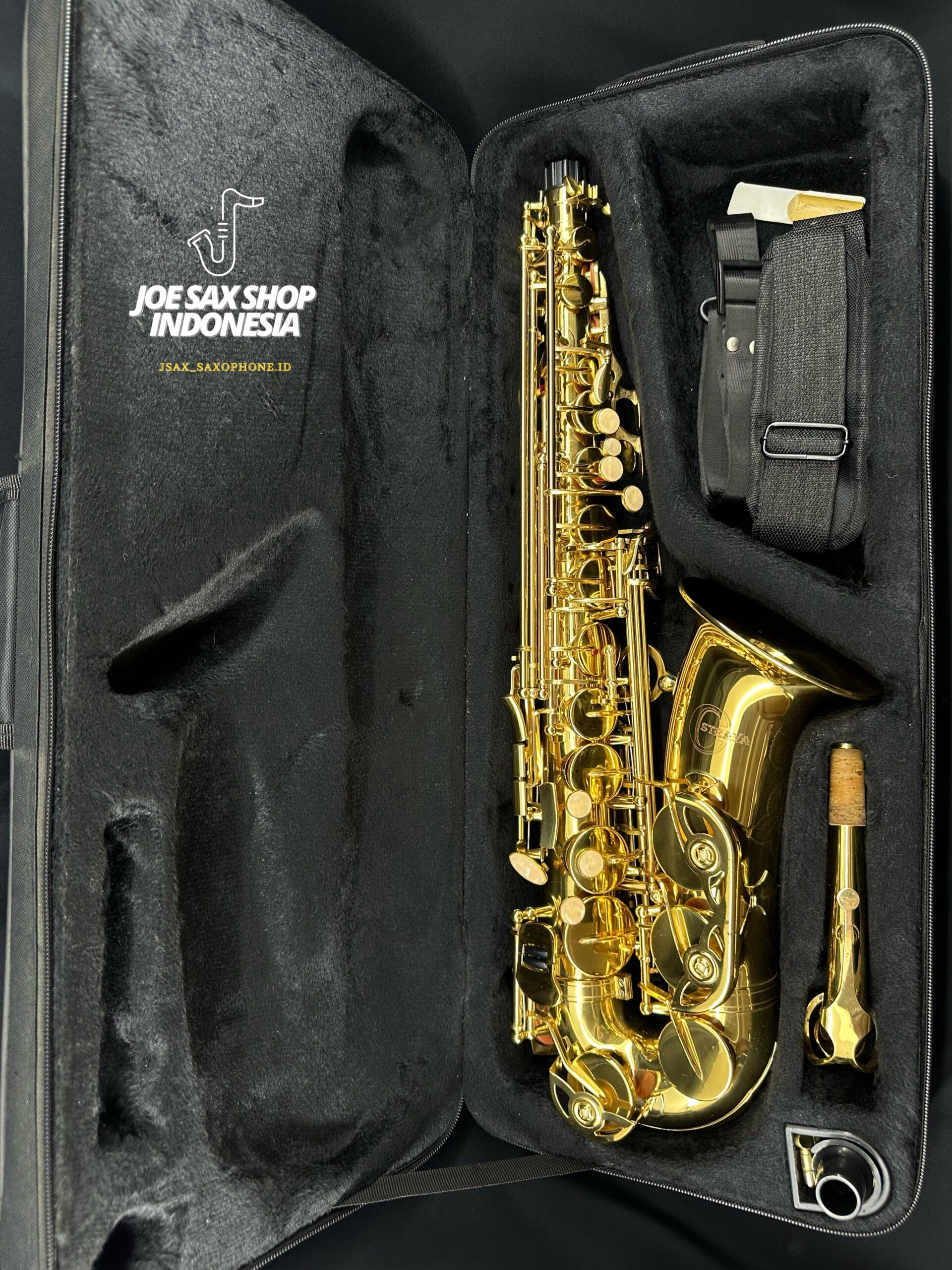 Alto Saxophone Ostrava Gold (110625)