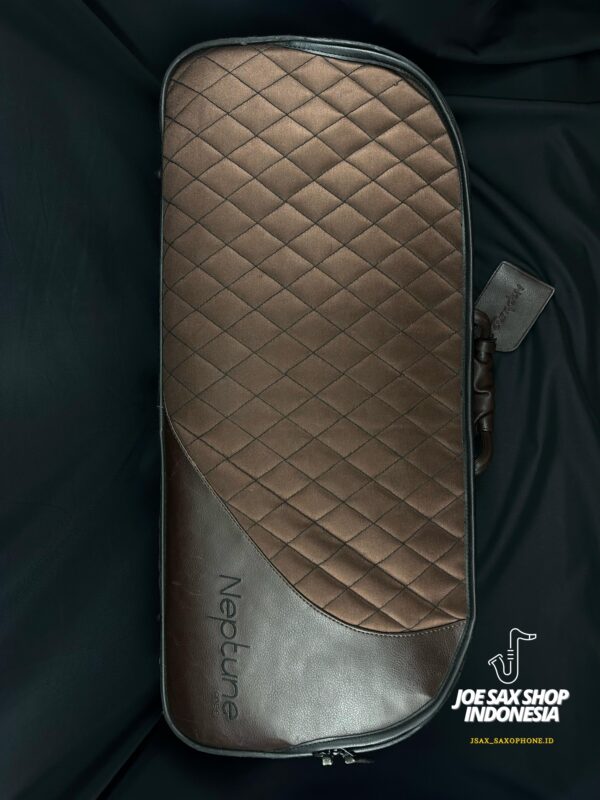 Hardcase Alto Saxophone Neptune AS-830
