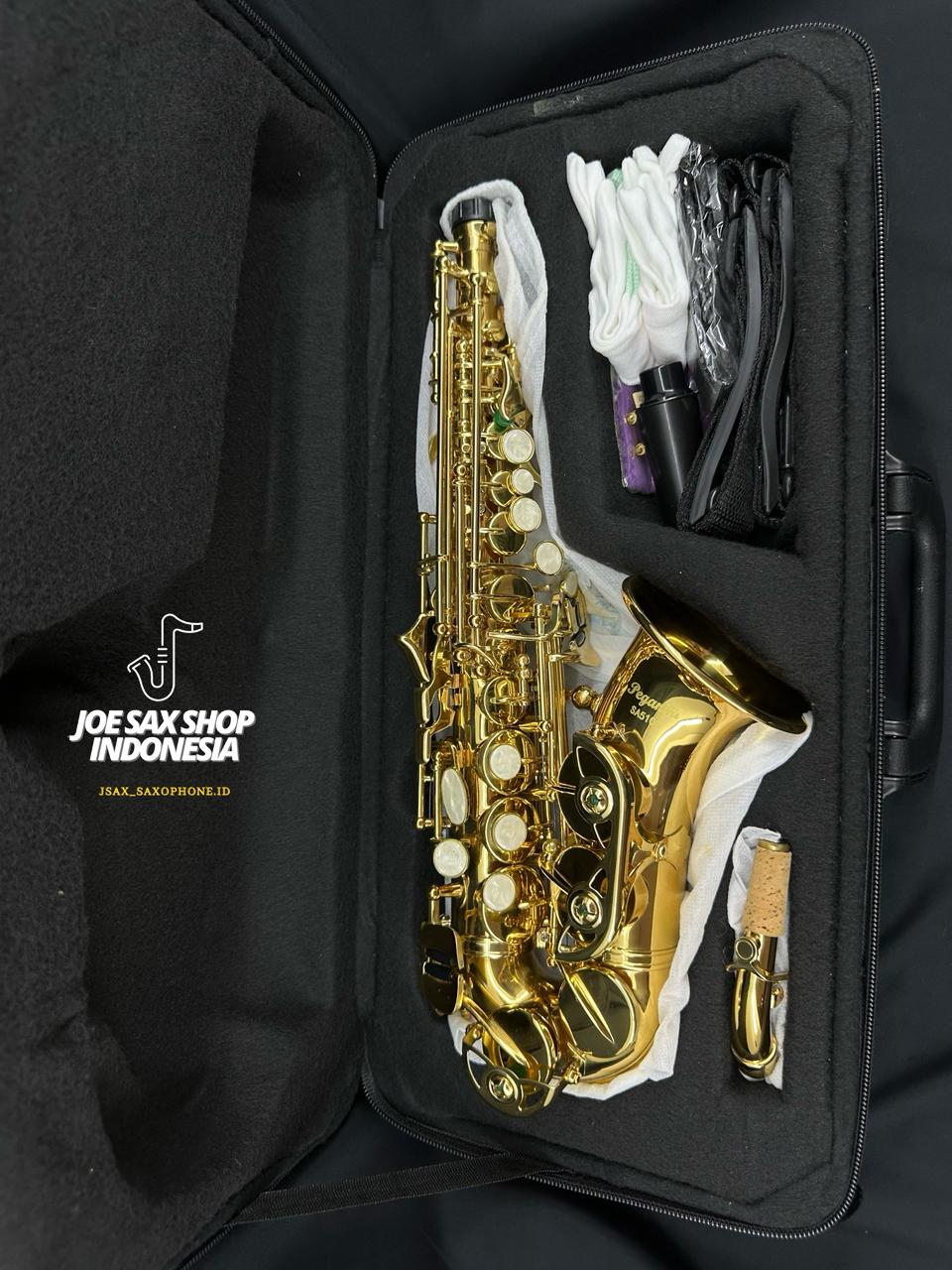 Curved Soprano Saxophone Peganini SA-510G