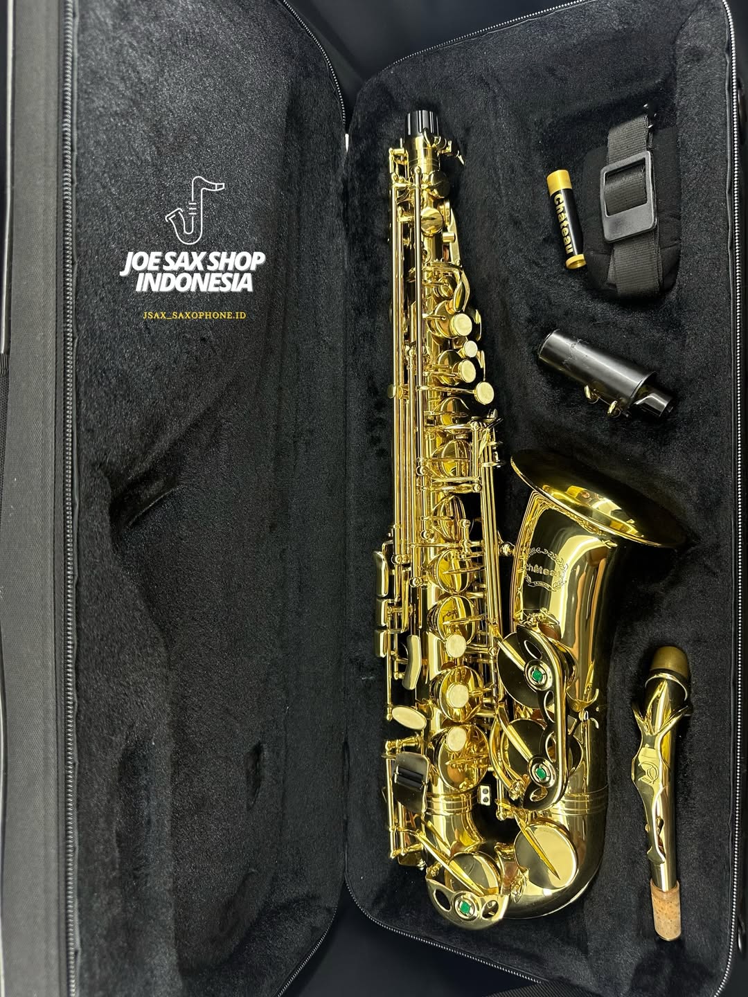 Alto Saxophone Chateau CAS-21L