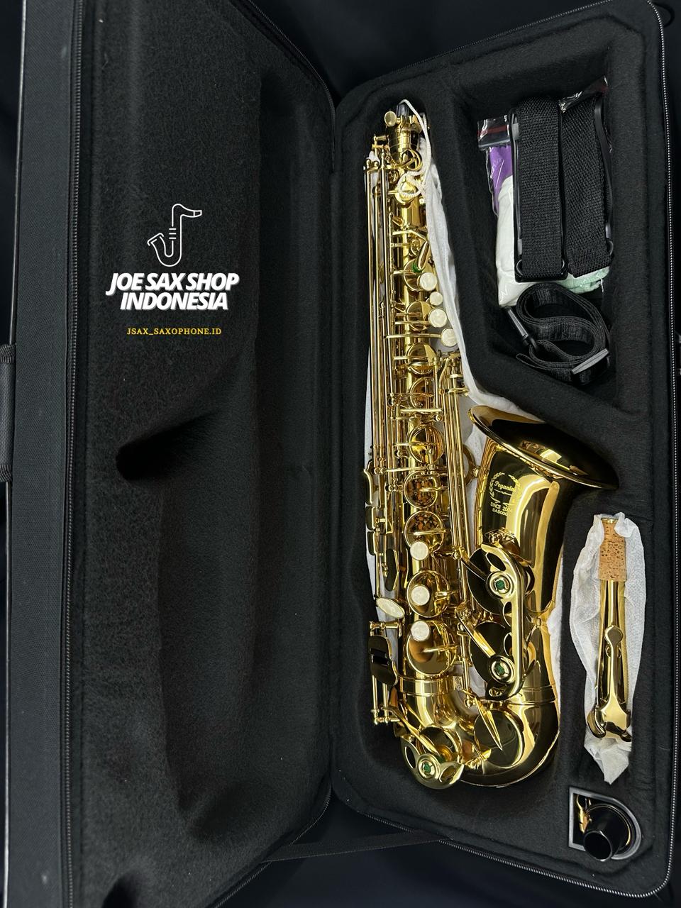 Alto Saxophone Peganini Gold SA-500G (300126)
