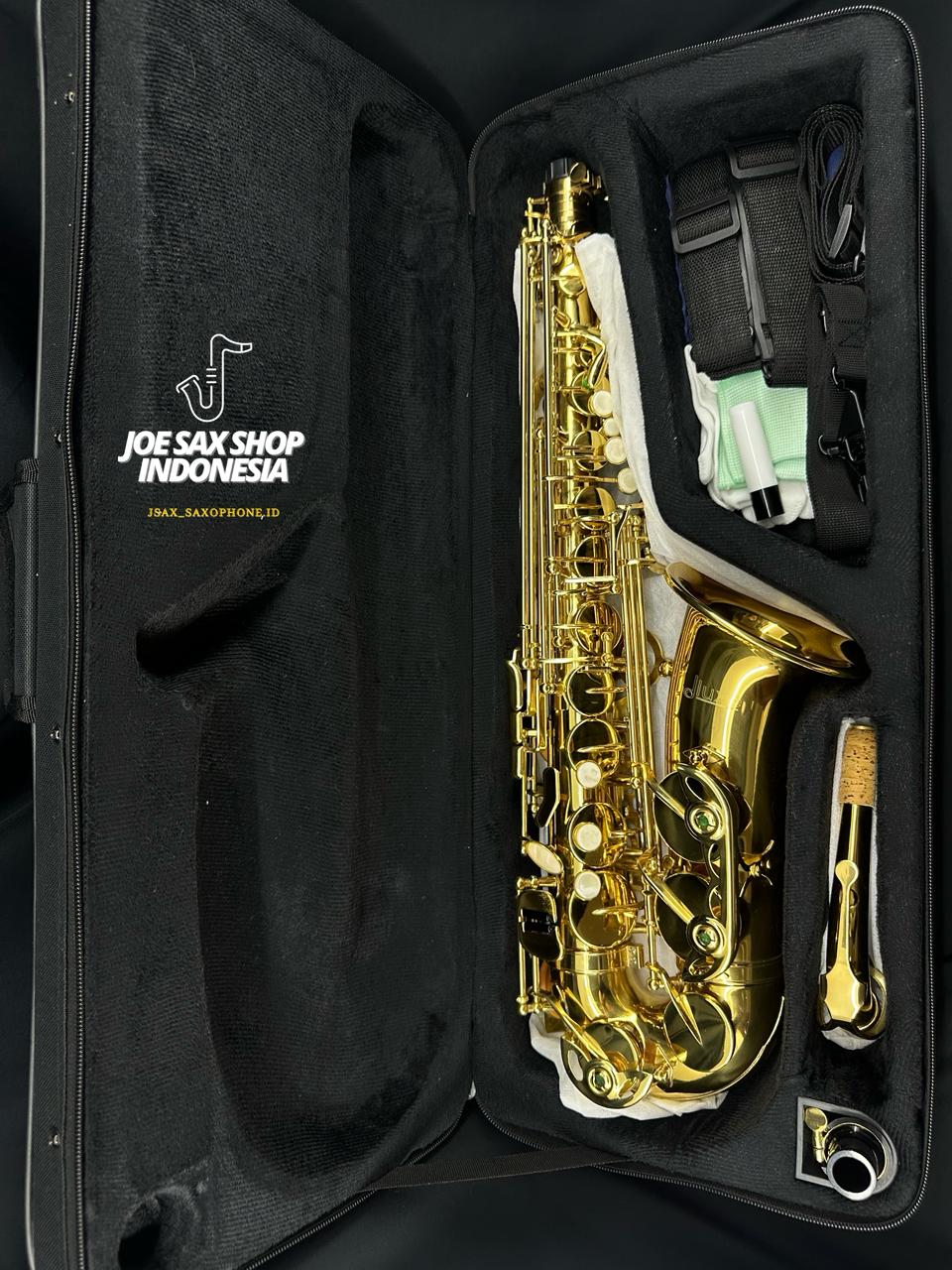 Alto Saxophone Dluxe Gold (060326)