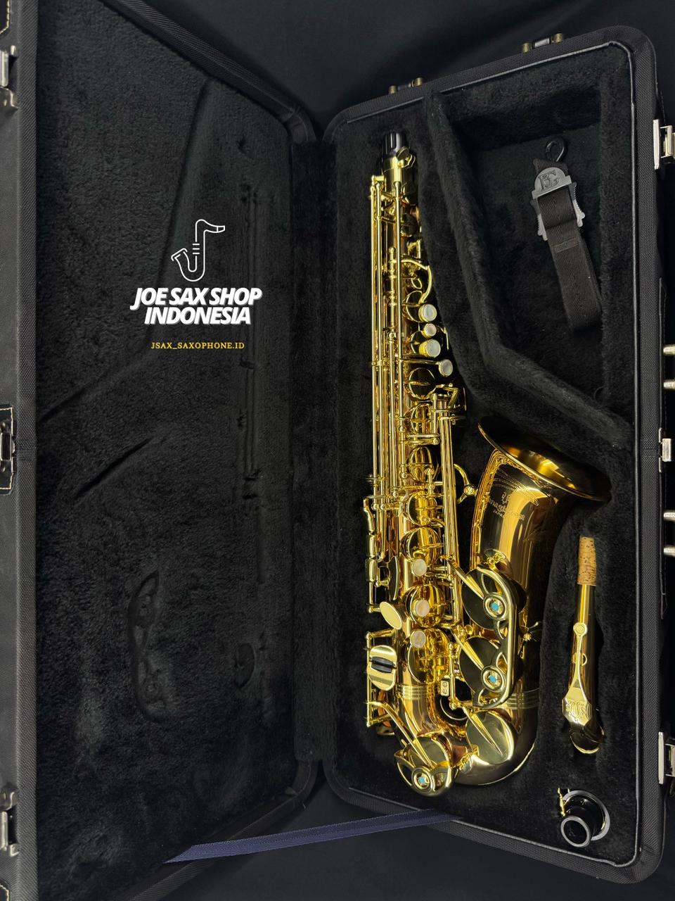 Alto Saxophone Yanagisawa AWO2 Bronze Japan (353483)